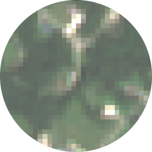 Sentinel-2
